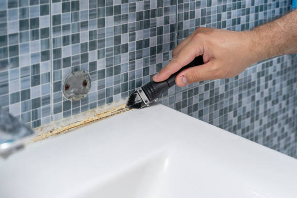Best Attic Mold Removal  in Reinholds, PA